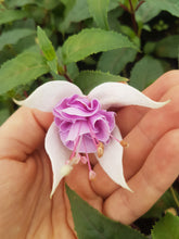Load image into Gallery viewer, Blue Veil Fuchsia (Double-Flowered Trailing)