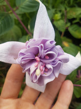 Load image into Gallery viewer, Happy Anniversary Fuchsia (Double-Flowered Trailing)