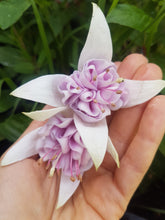 Load image into Gallery viewer, Happy Anniversary Fuchsia (Double-Flowered Trailing)